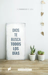 Evangelio de Juan RVR60 Dios te busca a color