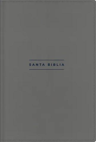Biblia nueva versión internacional, texto revisado 2022, gris, imitación de piel, gris