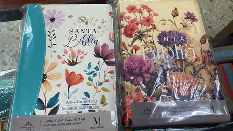 Biblia Reina Valera 60 Jardín super gigante colores canto pintado imitación piel cierre e índice 19P