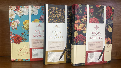 Biblia RV1960 Apuntes negro oro canto pintado Tapa Dura 11P