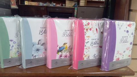 Biblia Reina Valera 60 imitación piel, letra grande, cierre 11P PJR