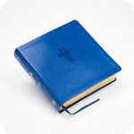 Biblia NTV  QR Principios para vivir azul (s/desc)