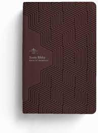Biblia Reina Valera 60 de promesas manual letra grande, líneas marrón, Imitación piel, cierre 12 ptos.