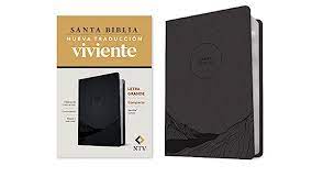 Biblia NTV Edición compacta carbón letra grande
