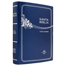 Biblia Reina Valera 60 mediana letra grande vinil azul RVR062CLG