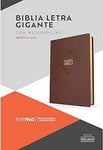Biblia Reina Valera 60 letra gigante imitación piel café edición 2023 14P