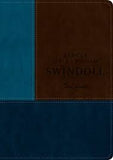 Biblia NTV de estudio Swindoll café azul turquesa sentipiel