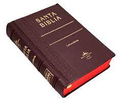 Biblia Reina Valera 60 bolsillo vinil vino índice canto pintado letra grande e índice