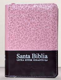 Biblia Reina Valera 60 bolsillo rosa marrón letra super gigante, cierre e índice 9 P PJR