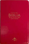 Biblia Reina Valera 60 manual Albor rustica camino al amanecer letra gigante 14P