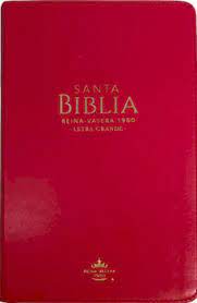 Biblia Reina Valera 60 manual Albor rustica camino al amanecer letra gigante 14P