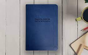 Biblia Reina Valera 60 promesas compacta azul 9.5 pts