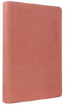 Biblia Reina Valera Contemporánea mediana imitación piel letra grande rosa 11P