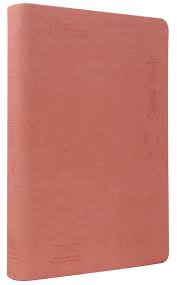 Biblia Reina Valera Contemporánea mediana imitación piel letra grande rosa 11P