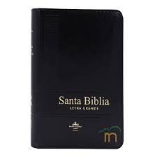 Biblia Reina Valera 60 bolsillo negra letra grande índice y cierre 9 P PJR