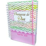 Agenda precious moments, borlitas, algodoncitas, etc 2025