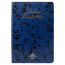 Biblia Reina Valera Contemporánea devocional simil piel manual generación joven