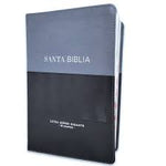 Biblia Reina Valera 60 Éfeso super gigante gris/negro imitación piel con índice GEO 19P