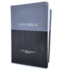 Biblia Reina Valera 60 Éfeso super gigante gris/negro imitación piel con índice GEO 19P