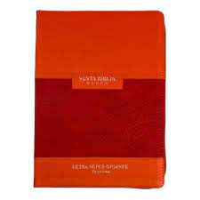 Biblia Reina Valera 60 Clásica Abba coral coral imitación piel letra gigante, cierre e índice 19P PJR
