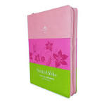 Biblia Reina Valera 60 imitación piel letra gigante tricolor rosa fucsia lila con cierre e índice 19P