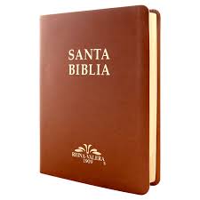Biblia Reina Valera 1909 grande café