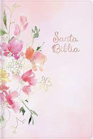 Biblia Reina Valera 60 manual edición especial rosa con blanco imitación piel letra grande 12P PJR