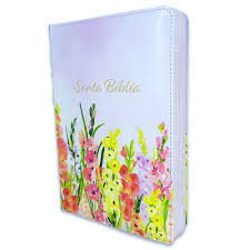 Biblia Reina Valera 60 letra gigante manual imitación piel edición limitada lavanda con índice y cierre 14P