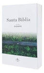Biblia Reina Valera 60 Albor rustica manual carretera letra gigante 14P