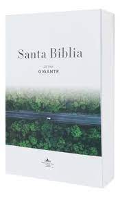 Biblia Reina Valera 60 Albor rustica manual carretera letra gigante 14P