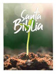 Biblia Reina Valera 60 misionera rústica económica Fuente de Bendiciones