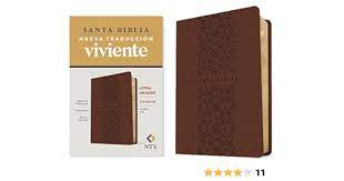 Biblia NTV edición compacta café letra grande