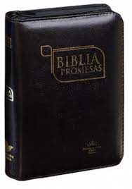 Biblia Reina Valera 60 chica promesas negro con cierre acolchonada