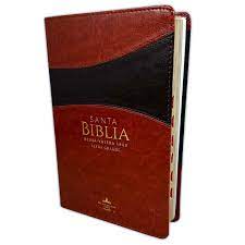 Biblia Reina Valera 60 Clásica bitono marrón/marrón imitación piel, índice, manual 12.5P PJR