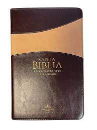 Biblia Reina Valera 60 Clásica bitono café/café imitación piel, índice, manual, letra grande 12.5P PJR