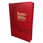 Biblia Reina Valera 60 grande vino QR e índice PJR
