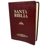 Biblia Reina Valera 1909 vino canto dorado imitación piel concordancia letra gigante 14 Pts.