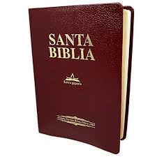 Biblia Reina Valera 1909 vino canto dorado imitación piel concordancia letra gigante 14 Pts.