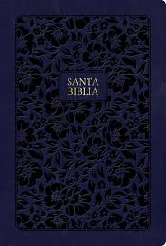 Biblia Reina Valera 60 manual letra grande edición especial diferentes colores imitación piel 12P