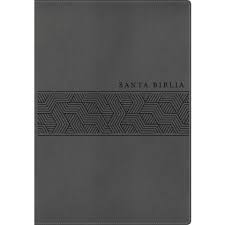 Biblia NTV edición manual gris sentipiel letra grande 12P