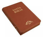 Biblia Reina Valera 1909 mediana café con cierre e índice