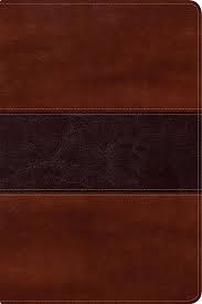 Biblia Reina Valera 60 del pescador letra grande caoba simil piel