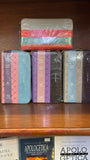 Biblia Reina Valera 60 horizonte chequera/agenda diferentes colores imitación piel con cierre 8P PJR