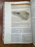 Biblia RVR de estudio Transfondo cultural vino