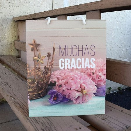 Bolsa de regalo chica  muchas gracias