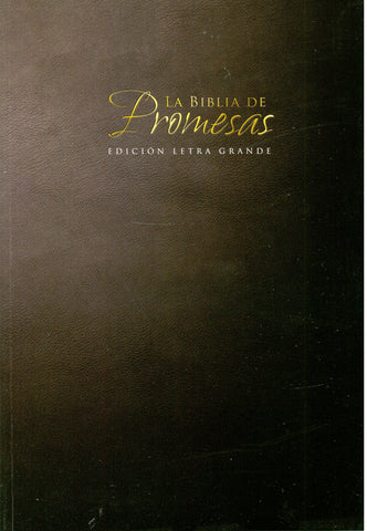 Biblia Reinia Valera 60 promesas negro tapa rustica