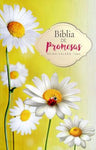 B. RVR60 promesas rustica economica mujeres