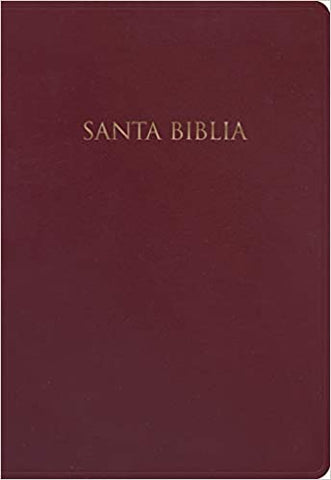 Biblia NVI regalos y premios vino imitación piel