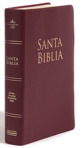 Biblia Reina Valera 60 edición especial vino VI TM 12
