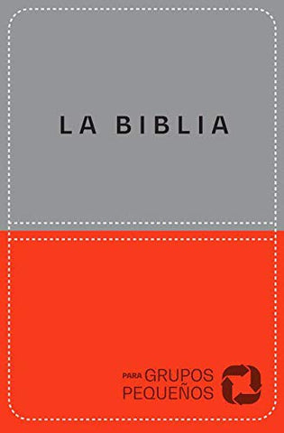 Biblia NBV Grupos pequeños gris/rojo SP lujo  9P